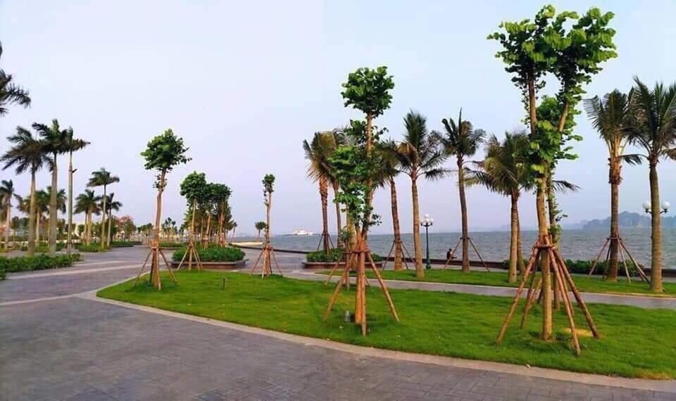 Sonny Homestay 2 -Can Lien Ke 5Pn -Khu Greenbayvillage - Duong Hoang Quoc Viet -Trung Tam Kdl Bai Chay Ha Long Exteriér fotografie
